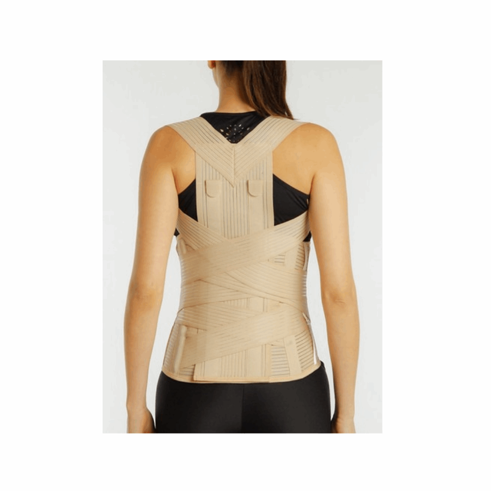 Orthopedie Corset Thoraco-lombaire Large Morsa